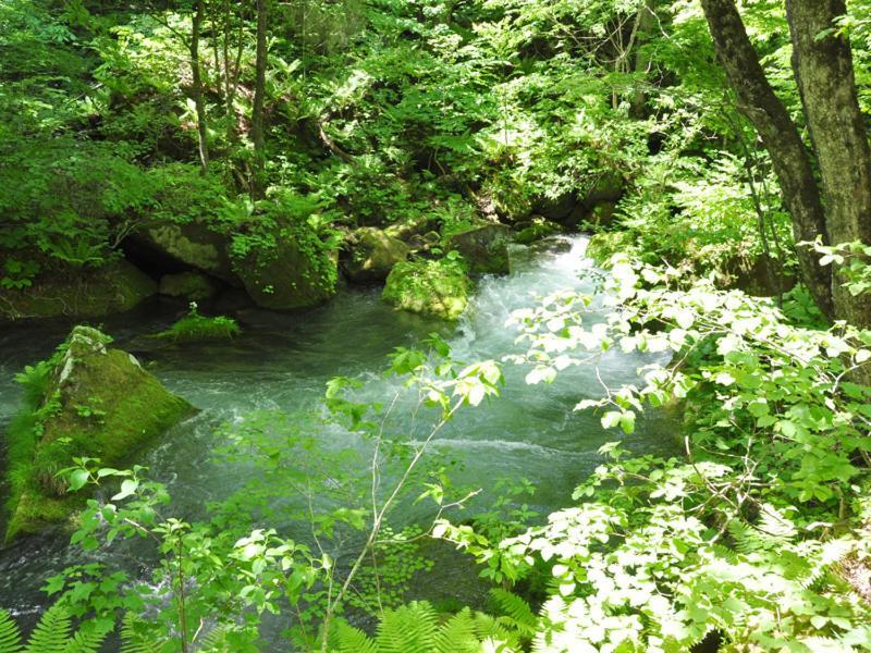 Towadako Sanso 호텔 Kazuno 외부 사진